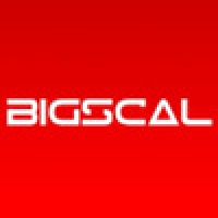 Bigscal Technologies 