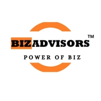 Biz Advisors