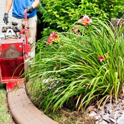 Ways To Increase The Value Of your Property With Landscaping