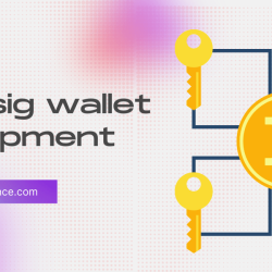 Multi-sig wallet development