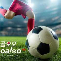 Goaloo.com—the most professional sport website!