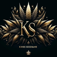 Kings Seedbank