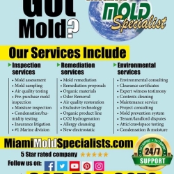 Miami Mold Specialist