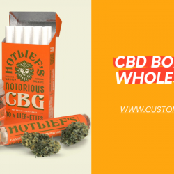 Why CBD Boxes are necessary for business success?