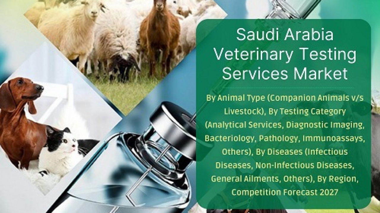 Saudi Arabia Veterinary Testing Services Market Research Report 2023-2027