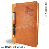 NewYearDiaries