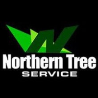 Northern Tree Services