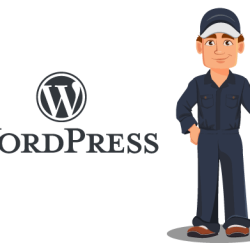 Die Wahl des richtigen Managed WordPress-Hostings: Wichtige Überlegungen