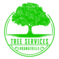 Orangeville Tree Service