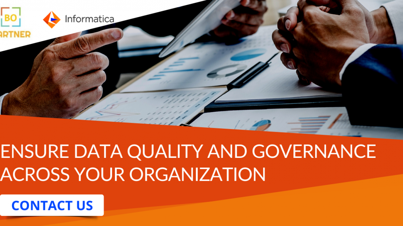 Data Quality & Governance Consulting