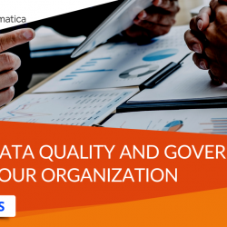 Data Quality & Governance Consulting