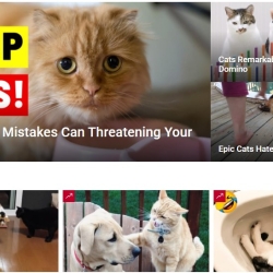 Cat Viral Hub: Unleashing the Purr-fection of Funny and Viral Cats!