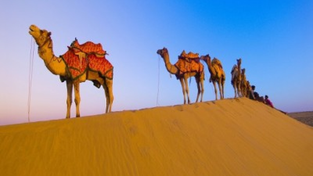 Descubra los viajes a la feria y el festival de rajasthan