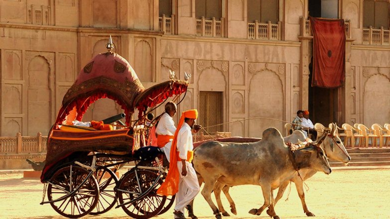 Explore el turismo de Rajasthan con la tierra de los festivales