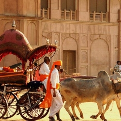 Mejor época para ir a visitar Jaipur