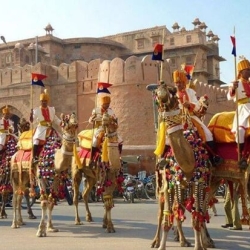 Visite la principal atracción turística de India Rajasthan