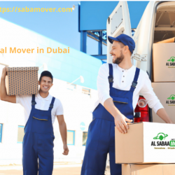 Professional Furniture Movers and Packers Dubai