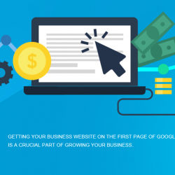 PPC Pricing Packages and SEO Companies