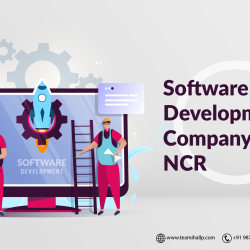 Software Development Company in Delhi NCR