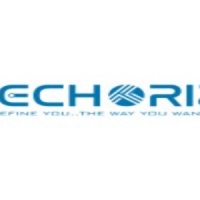 Techoriz Digital Solution