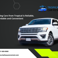 Tropical Car Rental