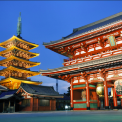 Tokyo Private Tour will Bring Maximum Comfort and Privacy for You!