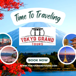 Tokyo Tour Ensures Maximum Convenience and Enjoyment for You!