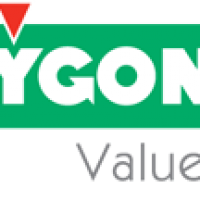 vygonindia12